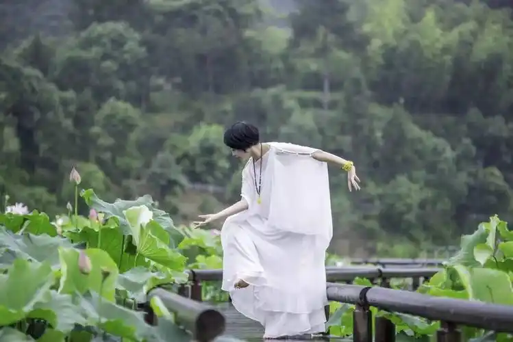 天台一群美女在荷花丛中禅舞——那荷 那禅 那光阴