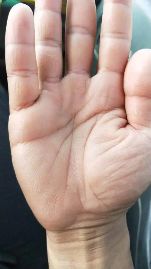 这是我的手掌纹,求大师看看此人手相如何,男