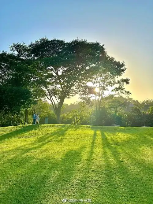 壁纸 草原 桌面 690_920 竖版 竖屏 手机