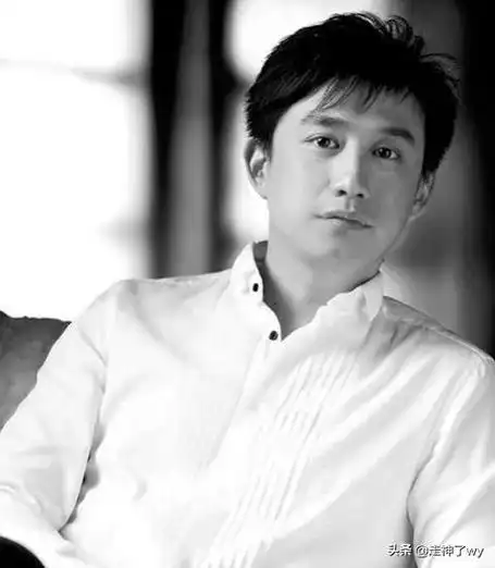 中国内地男演员黄磊个人简历(男演员黄磊代表作品)