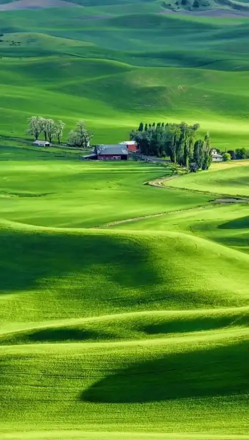 679_1200竖版 竖屏