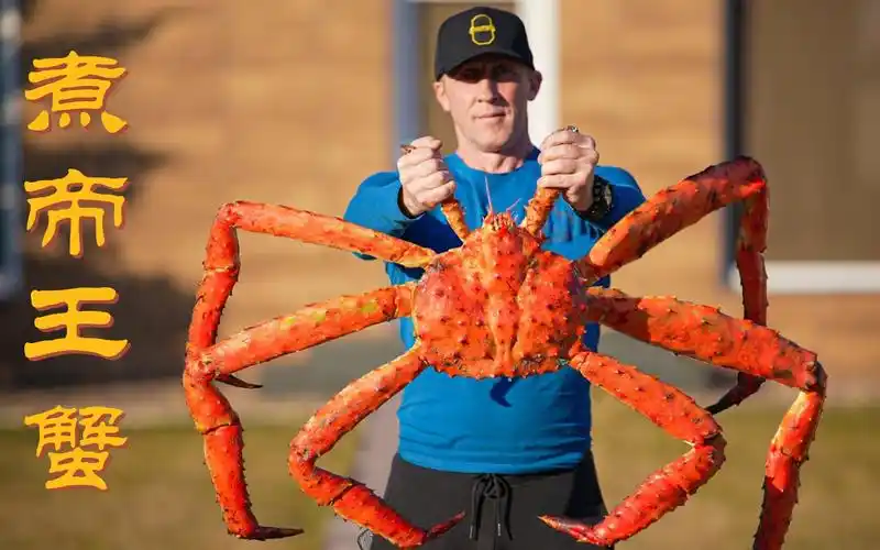 煮一只超大的帝王蟹