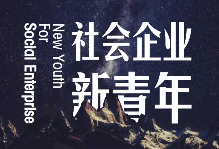 社会企业新青年vi设计