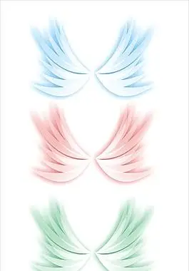 78095个关于"六款翅膀"的素材