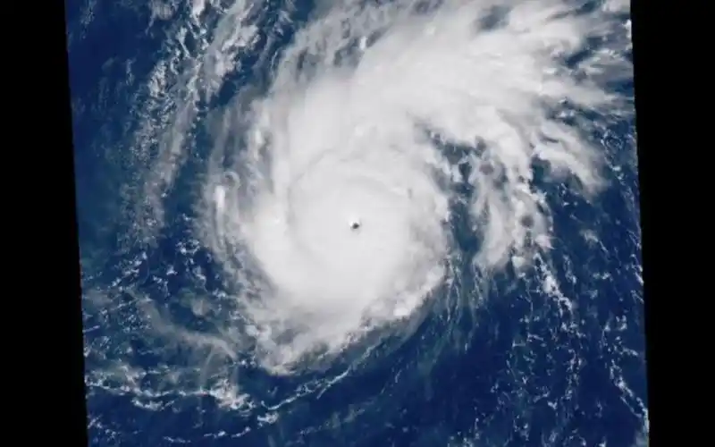 超强台风天鹅(2019)全程卫星云图