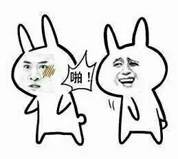 同志们我宣布猪组要火了