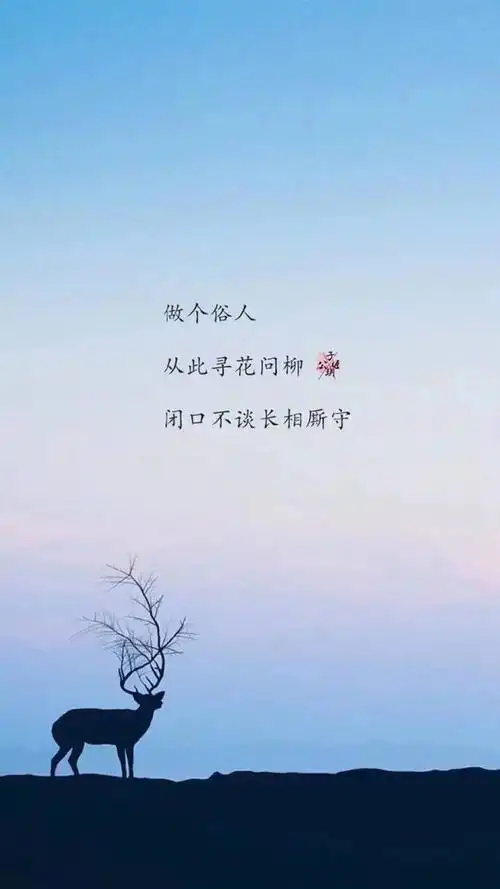 小清新伤感文字简约手机壁纸