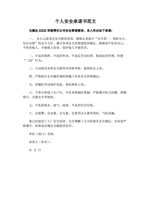 个人安全的承诺书范文.docx 1页
