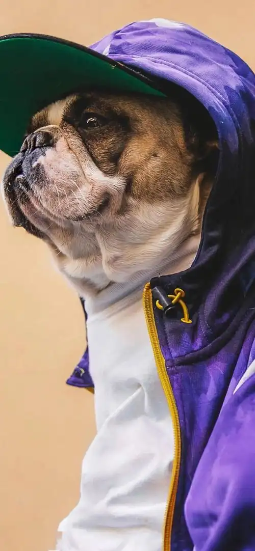 潮酷全面屏壁纸