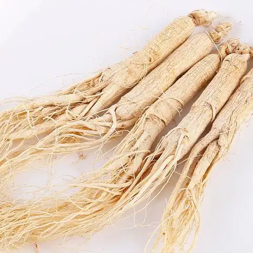 东北吉林长白山白参50g 件吉林生晒参煲汤泡酒东北干人参批.