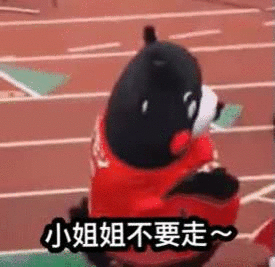 热点热门 萌宠表情 萌娃表情 斗图表情 锦鲤 土味语录 套路图 来自