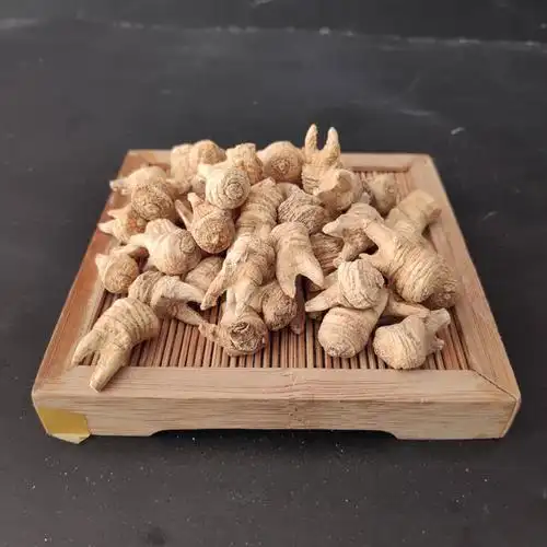 觅阳参野生小西洋参寻灵阳参野生觅阳参小牙洋参阳参250克【图片 价格