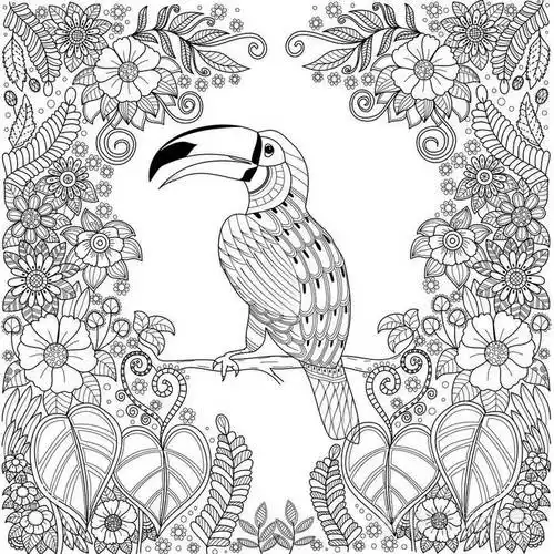 插画 矢量图 热带犀鸟鸟 zentangle 在丛林中用鲜花为成人着色书页.