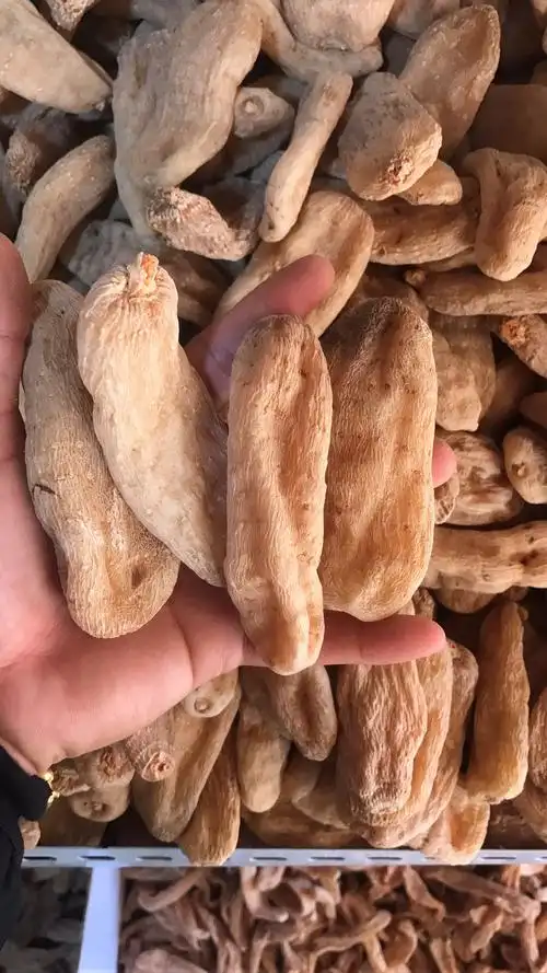 正宗云南昭通野生干货天麻500克新鲜天麻
