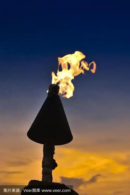 在天鹅绒般的天空下,夕阳下燃烧的火炬的剪影