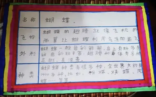 三年级学生学习昆虫备忘录一课作业展 写美篇大家看,我要给蝴蝶分类了