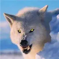 血狼最霸气凶残的图片_微信头像图片大全