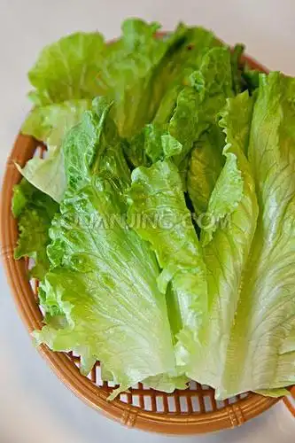 生菜图片_图片大全