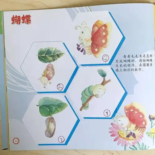 毛毛虫的变身记------中一班