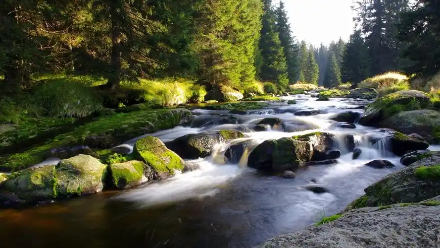 唯美意境,山水如画,湖泊,高山,唯美,雾气,电脑壁纸,壁纸高清山水景色