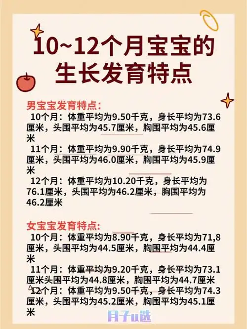 1012个月的宝宝生长发育特点