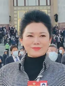 全国政协委员广西双英集团股份有限公司董事长杨英进一步创新检察宣传