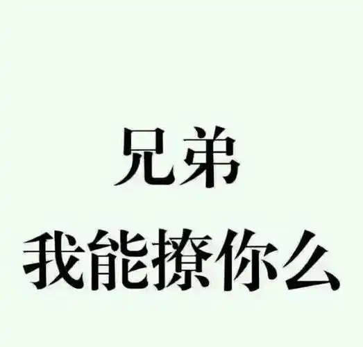 兄弟,我能撩你么