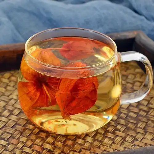 灯笼小药仙锦100g克中中药材野生挂金灯红姑娘其他药食同源食品