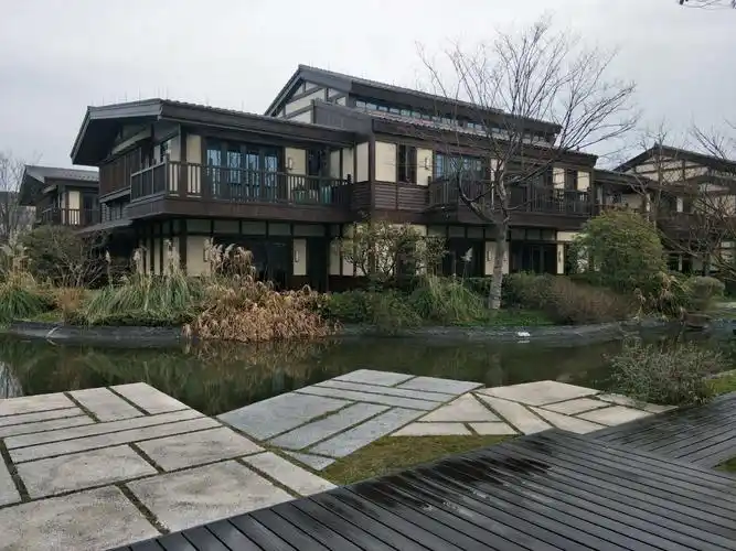 蹉跎岁月黑土情不懈难忘知青缘.(四季轮回五十载,水乡乌镇续前缘)