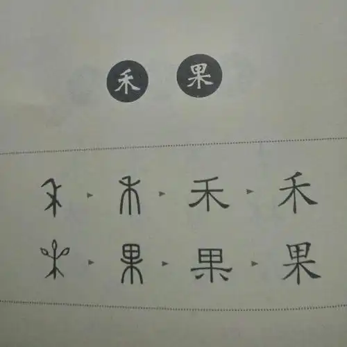 学习甲骨文中的 禾和果