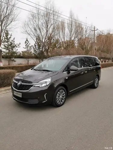 胖头鱼 牛津棕实车什么颜色哪个大佬有呀 求看看_别克gl8论坛_汽车之