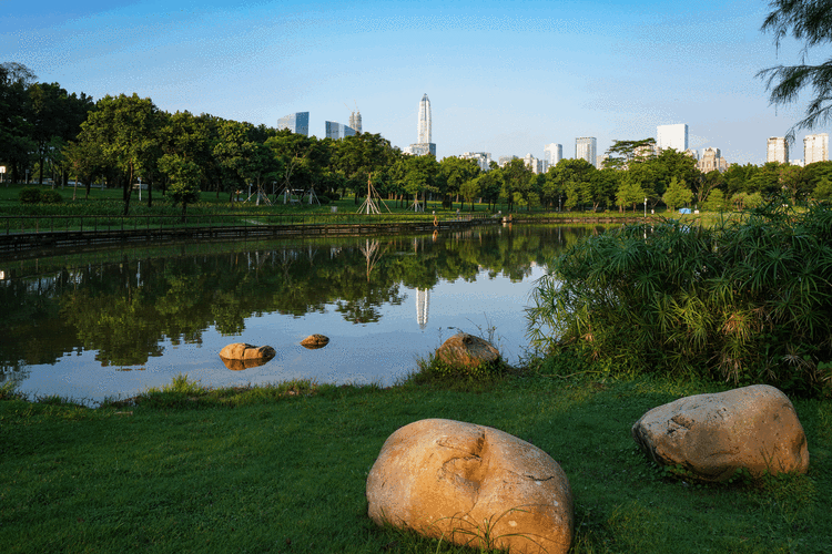 福田--市中心-美公园 - 摄影沙龙 - 深圳论坛