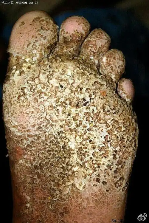 在科鲁兹掀背和高7中纠结