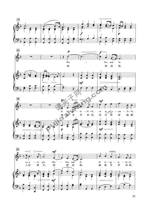 绿树成荫ombramaifu