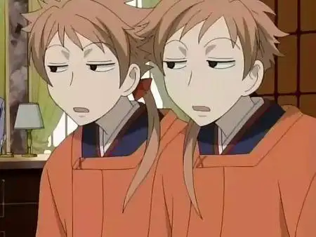 常陆院双子的介绍