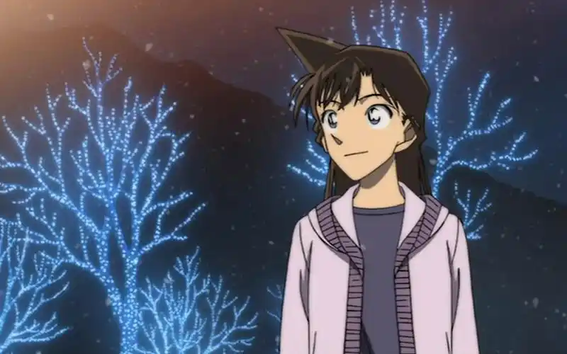 名侦探柯南小兰漫画图片