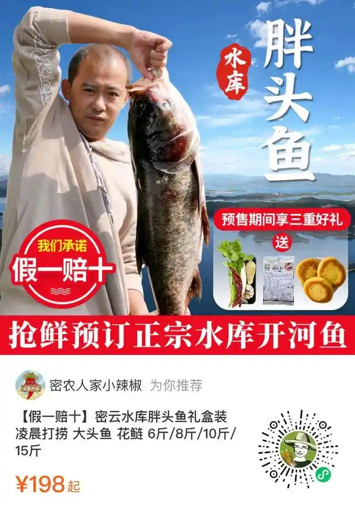 密云水库胖头鱼·保真 假一赔十.95密云水库胖头鱼,终于盼到 - 抖音