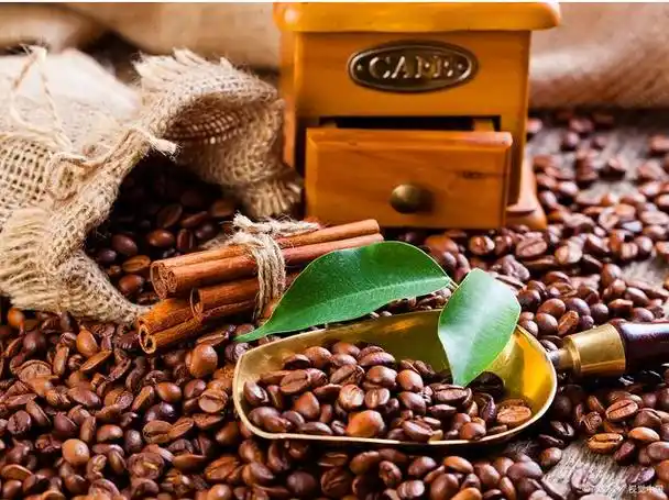 巴西咖啡豆进口清关手续及注意事项「通关指南」