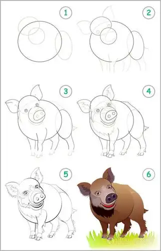 页面展示了如何一步地学习画一只可爱的野猪. 回学校去.