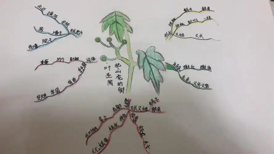 四年级课文《爬山虎的脚》