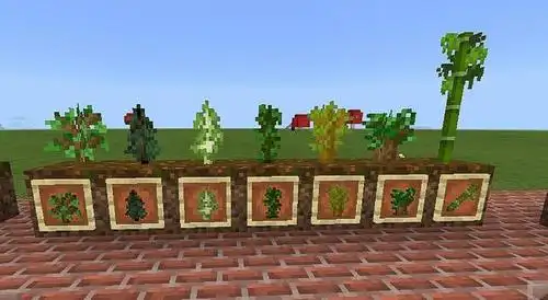 《我的世界》盘点:植物种植指南