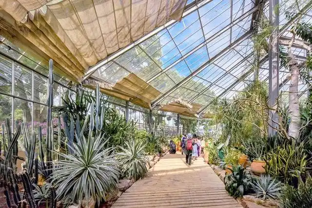 5月11日起,中国科学院武汉植物园景观温室恢复开放啦!