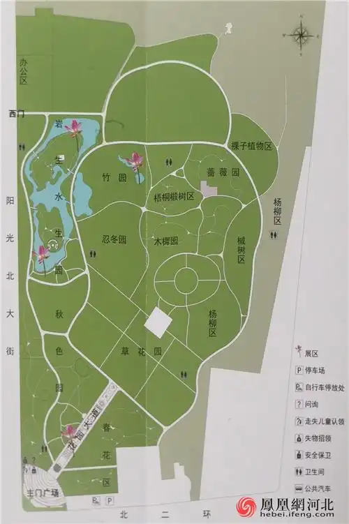 保定市植物园水生植物艺术展免费开放快来感受流动的夏日畅想