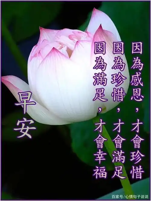 早上好问候祝福带字图片,早安励志哲理祝福语