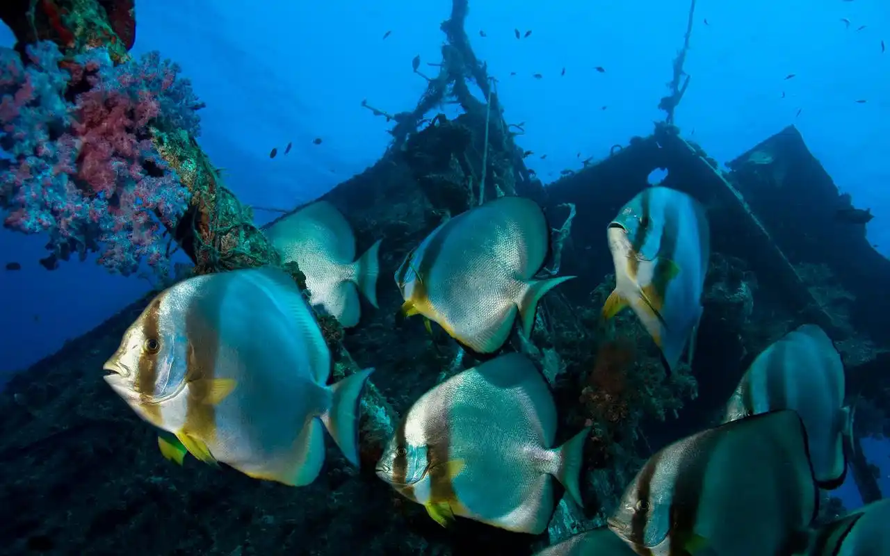 海底沉船高清唯美摄影图片桌面壁纸