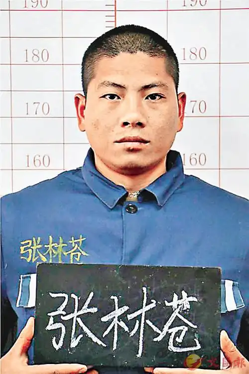 谭昮煦  昆明报道)张林苍服刑期间越狱,将受到中国法律怎样的制裁?