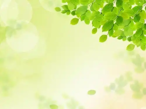 绿色保护幻灯片模板ppt