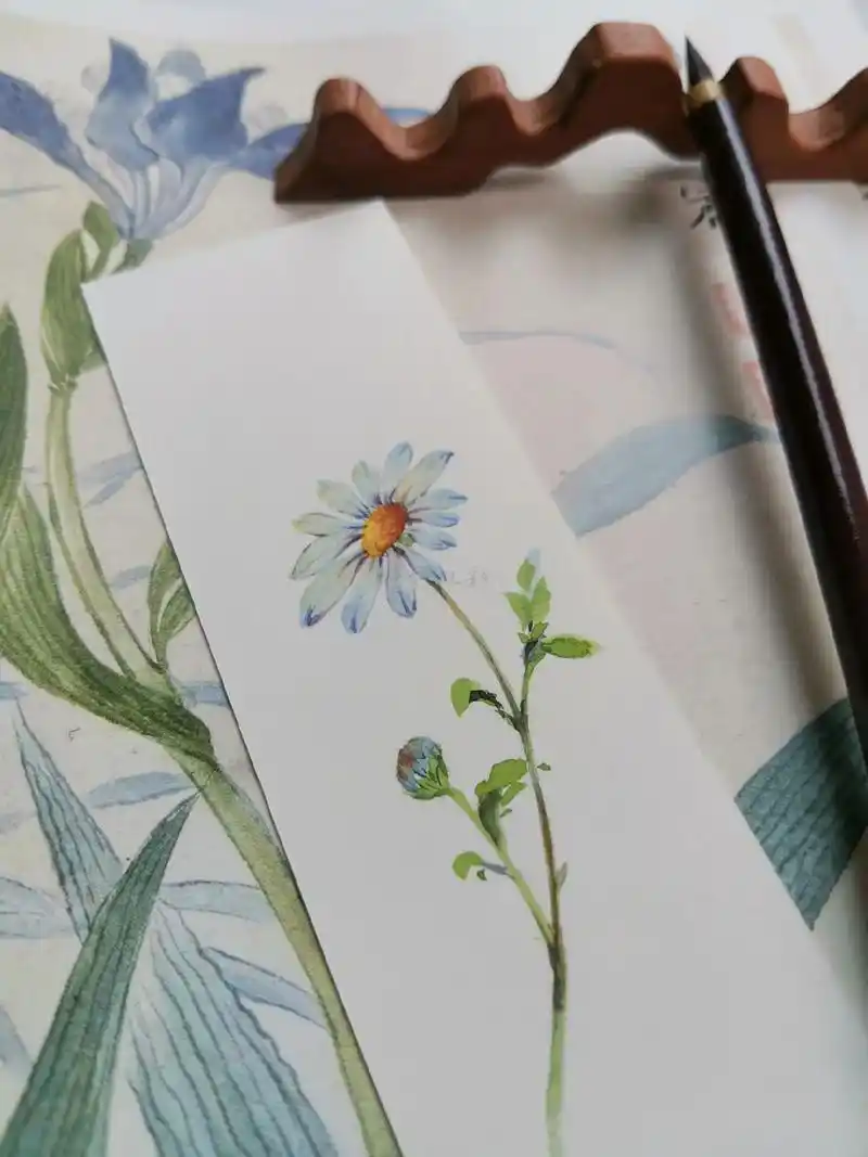 零基础简单小雏菊画法附步骤.小雏菊 水彩书签 #书签 #想画 - 抖音