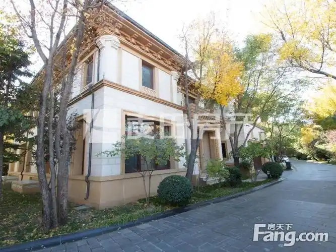 颐和园龙湖颐和原著独栋别墅地上地下双车库4个车位600平花园