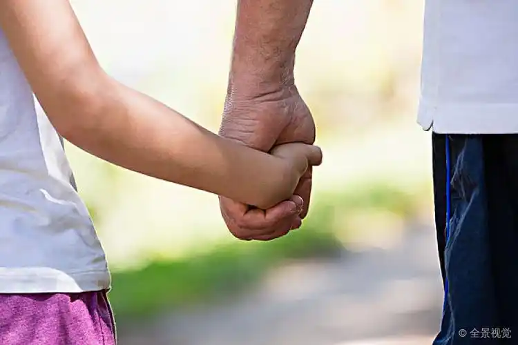 爷爷_拿着_孙女_牵手_树林_特写_图片大全—全景创意图库(quanjing.